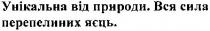 унікальна від природи. вся сила перепелиних яєць, унікальна, природи, вся, сила, перепелиних, яєць