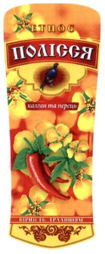 етнос, полісся, калган та перець, калган, перець, вірність традиціям, вірність, традиціям