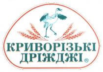 криворізькі дріжджі, криворізькі, дріжджі
