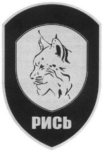 рись