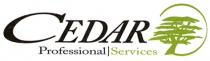 CEDAR Professional Services