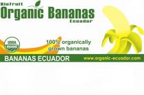 Biofruit Organic Bananas Ecuador USDA ORGANIC 100% organically grown bananas BANANAS ECUADOR www.organic-ecuador.com