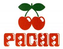 PACHA