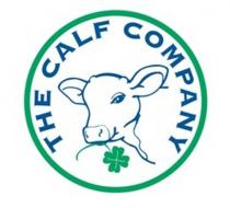 THE CALF COMPANY