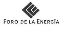 FORO DE LA ENERGÍA