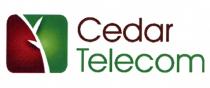 Cedar Telecom