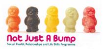 Not Just A Bump Sexual Health, Relationships and Life Skills Programme