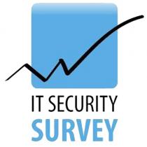 IT SECURITY SURVEY