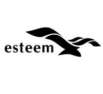 esteem