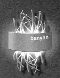 banyan