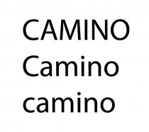 CAMINO