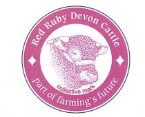 Red Ruby Devon Cattle part of farming's future