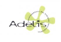 ADELIS-développement des énergies renouvelables