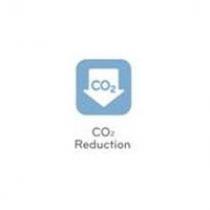 CO2 Reduction