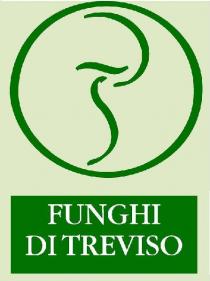 FUNGHI DI TREVISO