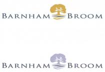 BARNHAM BROOM