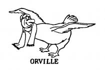 ORVILLE