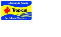 Tropical ...Gesunde Fische Perfektes Wasser.