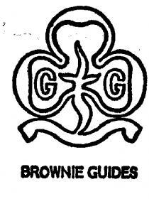 GG BROWNIE GUIDES