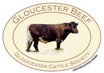 GLOUCESTER BEEF GLOUCESTER CATTLE SOCIETY