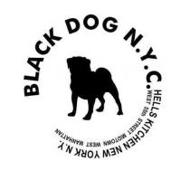 BLACK DOG N.Y.C. HELLS KITCHEN NEW YORK N.Y. WEST 55th STREET MIDTOWN WEST MANHATTAN