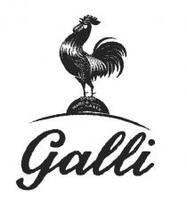 Galli