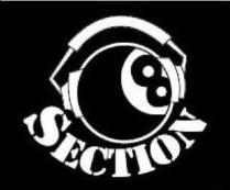 SECTION 8