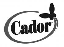 Cador