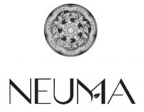 NEUMA