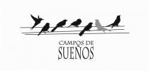 CAMPOS DE SUEÑOS