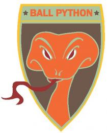 BALL PYTHON