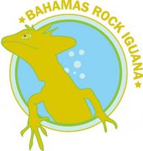 BAHAMAS ROCK IGUANA