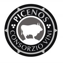 PICENOS CONSORZIO VINI