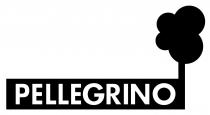 PELLEGRINO