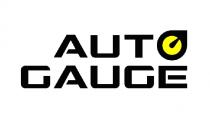 AUTO GAUGE