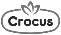 CROCUS