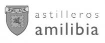 ASTILLEROS AMILIBIA