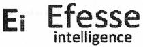 Ei Efesse intelligence