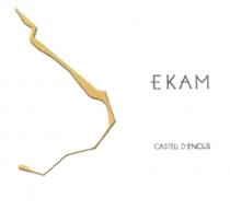 EKAM CASTELL D'ENCUS