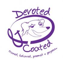 Devoted & Coated trained, behaved, groomed + gorgeous-