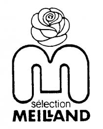 M SELECTION MEILLAND