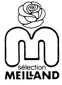 M SELECTION MEILLAND