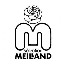 M SELECTION MEILLAND