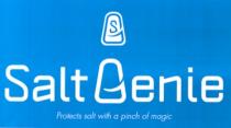 GS Salt Genie Protects salt with a pinch of magic