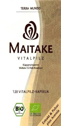 TERRA MUNDO MAITAKE VITALPILZ Klapperschwamm Maitake (Grifola frondosa) 120 VITALPILZ-KAPSELN BIO DE-ÖKO-001 Extrakt & Pulver plus Acerola