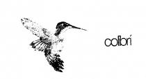 colibri