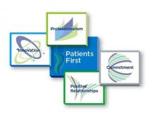 Innovation Professionalism Patients First Positive Relationships Commitment