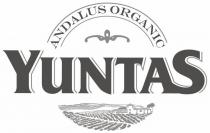 ANDALUS ORGANIC YUNTAS