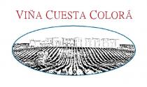 VIÑA CUESTA COLORÁ