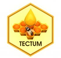 TECTUM